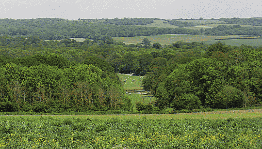 Highdown Hill is a breath of fresh air above Worthing